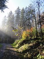  31. Oktober 2011 - auf dem letzten Stück Weg kam die Sonne aus dem Nebel